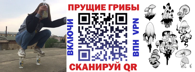 Псилоцибиновые грибы Psilocybe Нягань