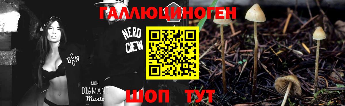 Нягань  Псилоцибиновые грибы GOLDEN TEACHER  Вход с VPN 