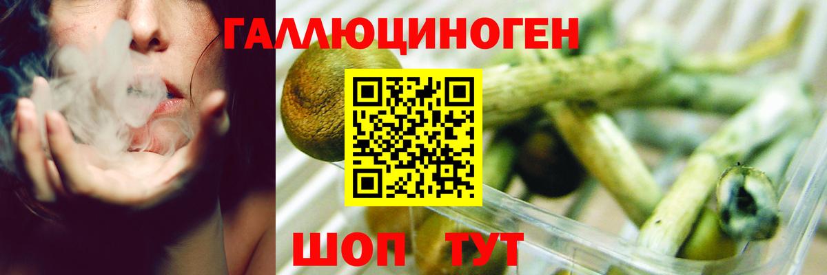 Псилоцибиновые грибы MAGIC MUSHROOMS Нягань